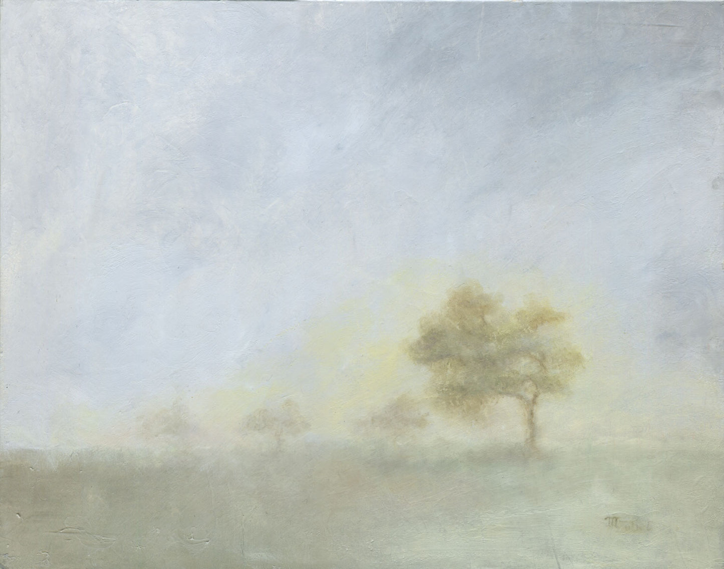 Early Morning Oaks